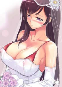 bride-training